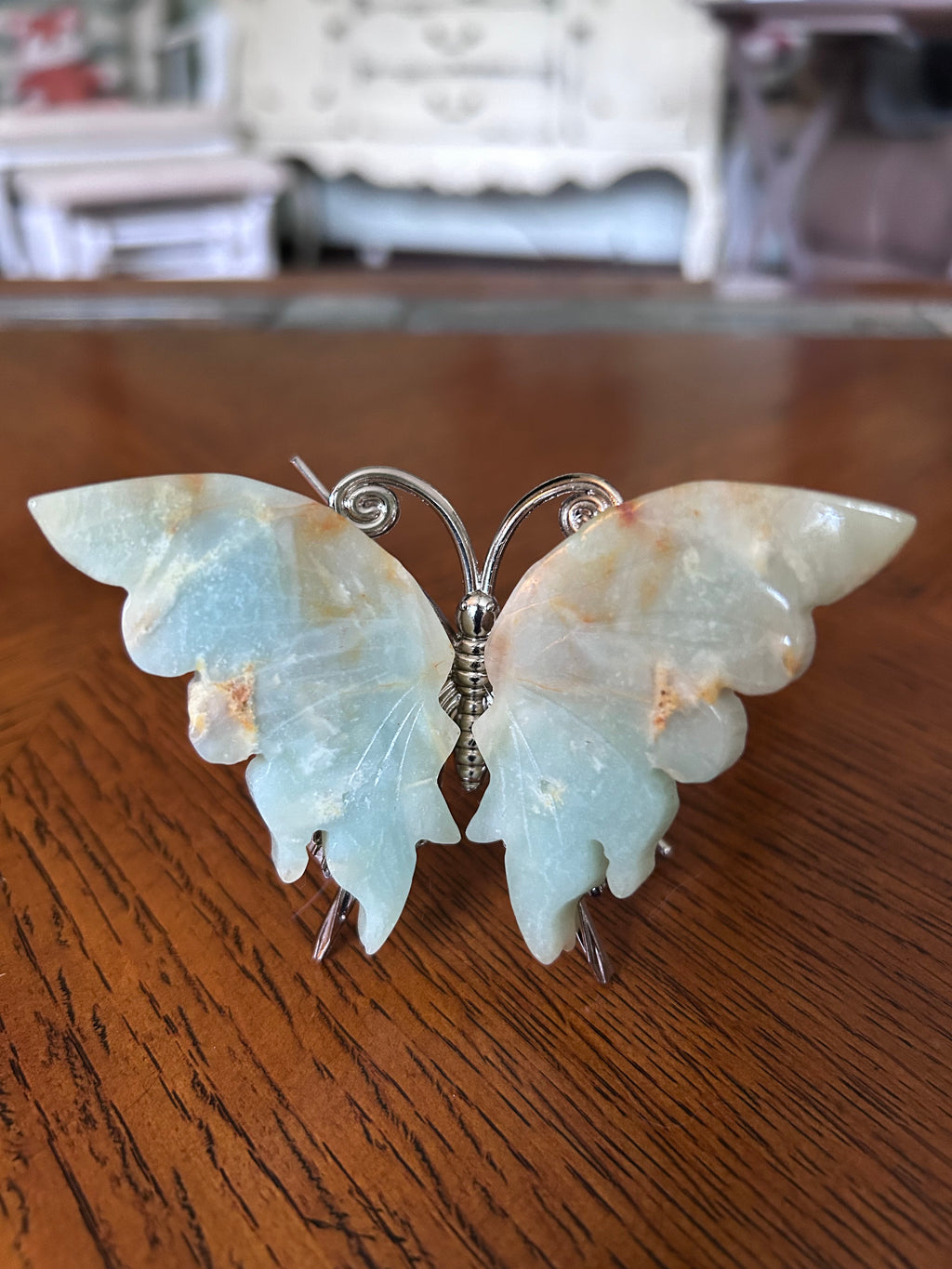 Caribbean calcite butterfly