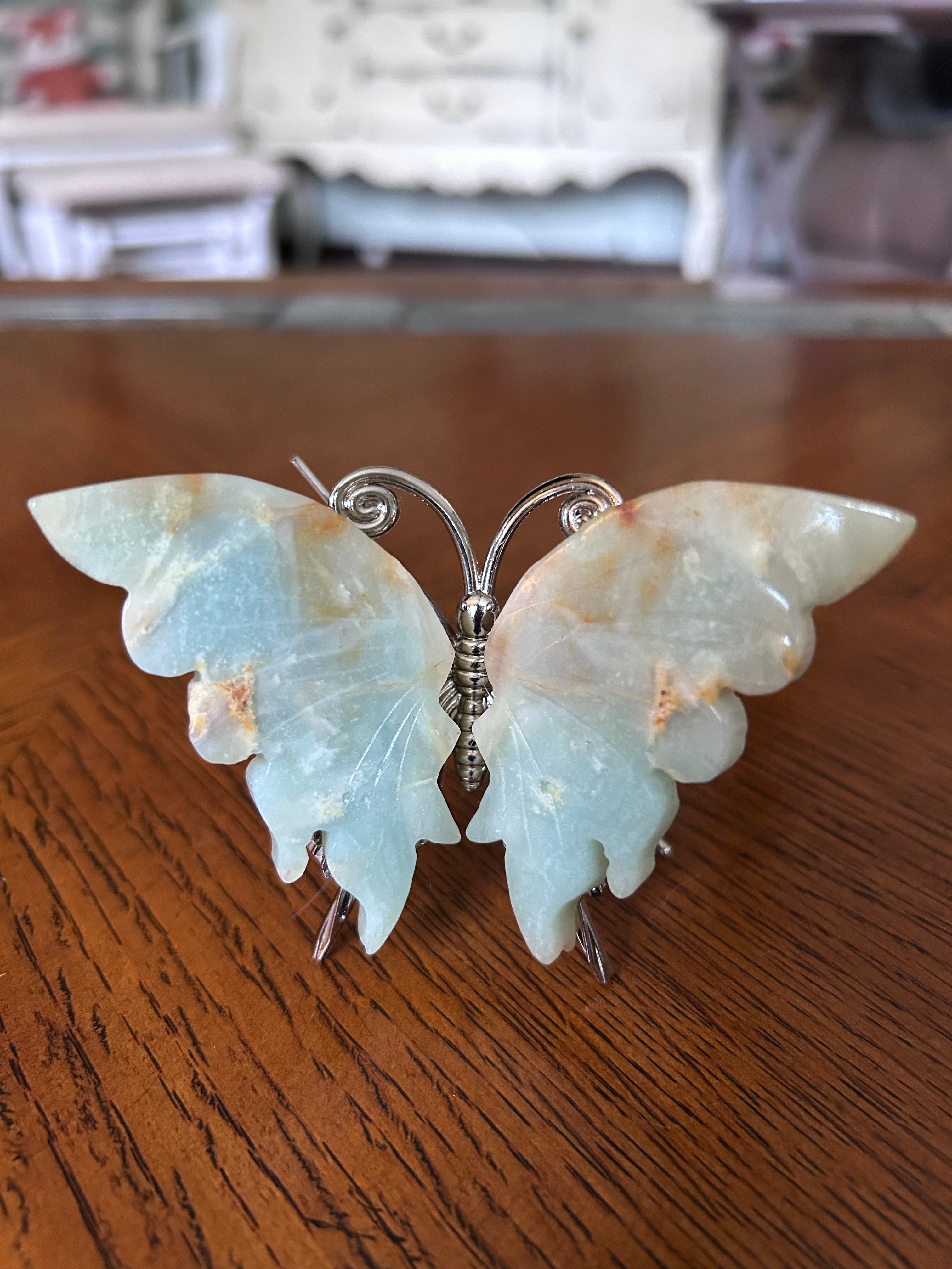 Caribbean calcite butterfly
