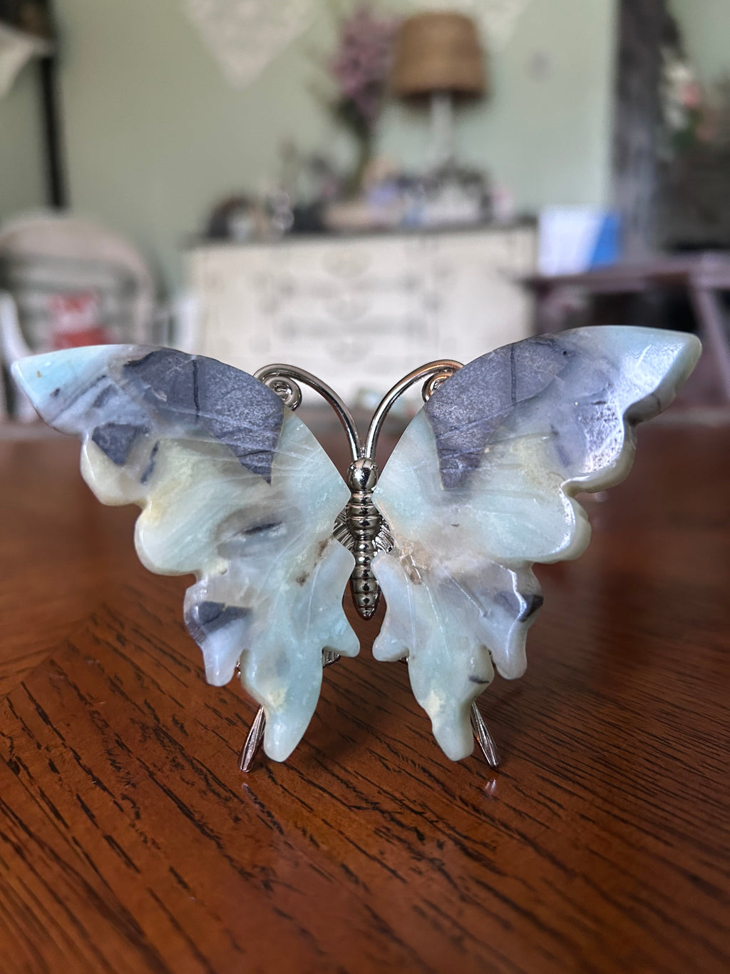 Caribbean calcite butterfly