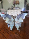 Caribbean calcite butterfly