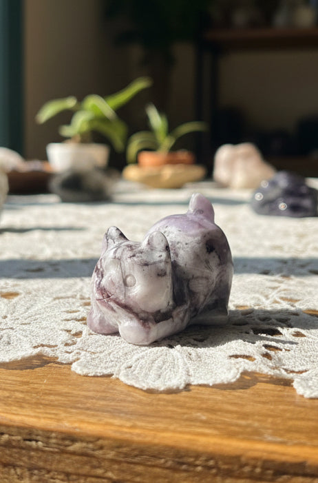 Miniature, amethyst, kitty